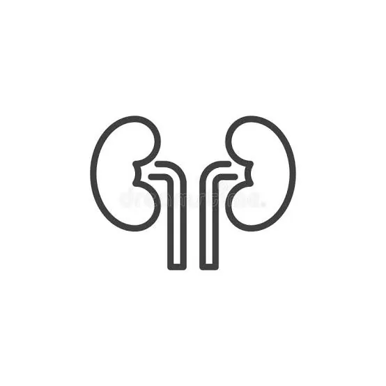 Healthy Urinary System icon ViriFlow