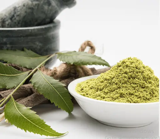Neem Leaf Extract Urinary Tract Health ViriFlow