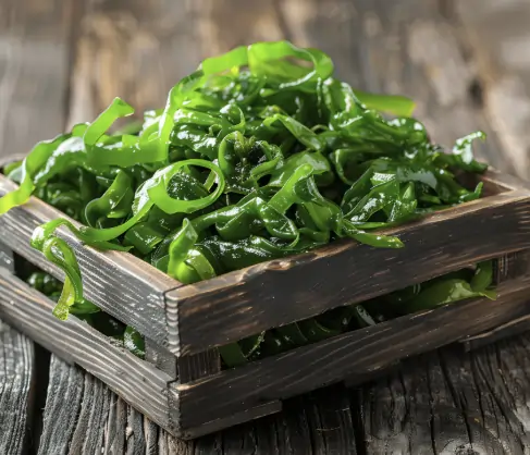 Wakame Seaweed Extract Prostate Support ViriFlow